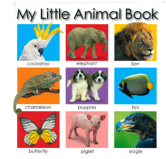 My Little Case Of Animal Books